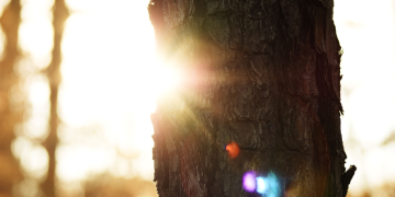 Photo by Anne Morris on Unsplash