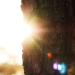 Photo by Anne Morris on Unsplash
