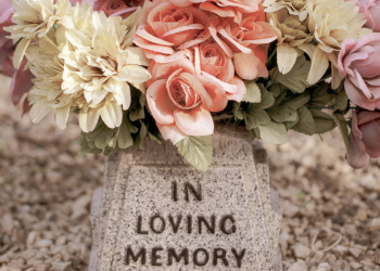 Photo by Sandy Millar on Unsplash