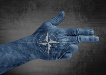 Image by Bennian via Shutterstock
