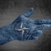 Image by Bennian via Shutterstock