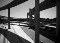 Image by mikeledray via Shutterstock