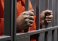Image by Frame Stock Footage via Shutterstock