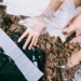Image by LightField Studios via Shutterstock