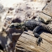 Image by pinkfloyd yilmaz uslu via Shutterstock