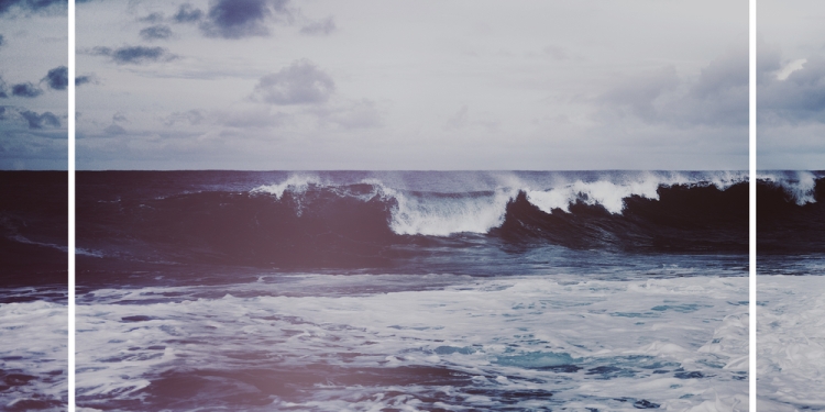 Image by Rawpixel.com via Shutterstock