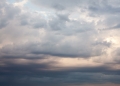 Image by UBC Stock via Shutterstock