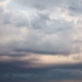 Image by UBC Stock via Shutterstock