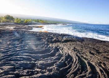 Image by Galyna Andrushko via Shutterstock