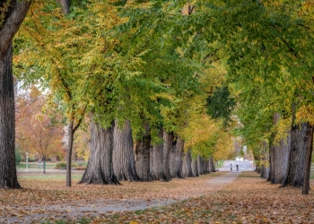 Image by marekuliasz via Shutterstock