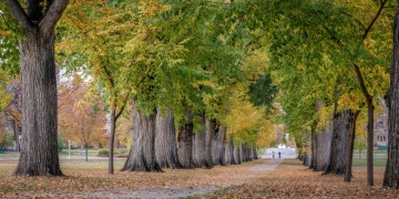 Image by marekuliasz via Shutterstock