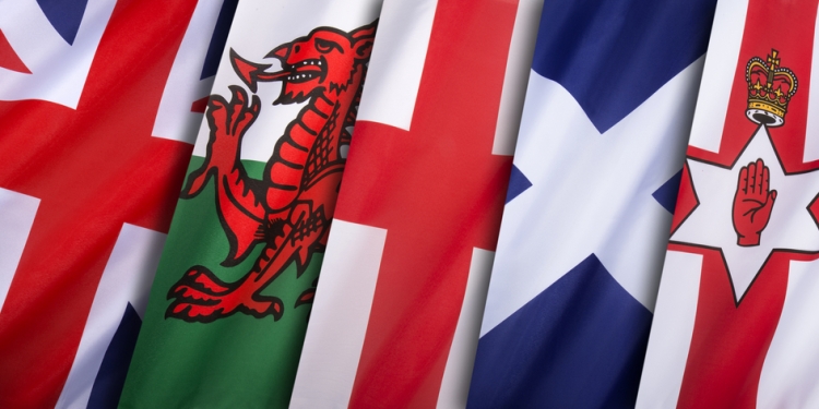 Image by Steve Allen via Shutterstock