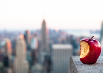 Image by MichaelaZolakova via Shutterstock