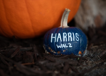 Image by bluestork via Shutterstock