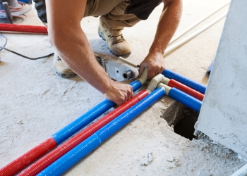 Image by Dagmara_K via Shutterstock