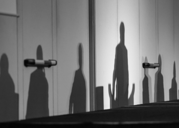 Image by Matej Kastelic via Shutterstock