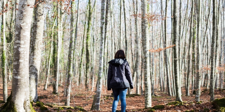 Image by Marc Roura via Shutterstock