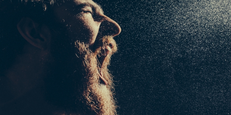 Image by Anna Berdnik via Shutterstock