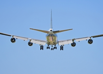 Image by Nina B via Shutterstock