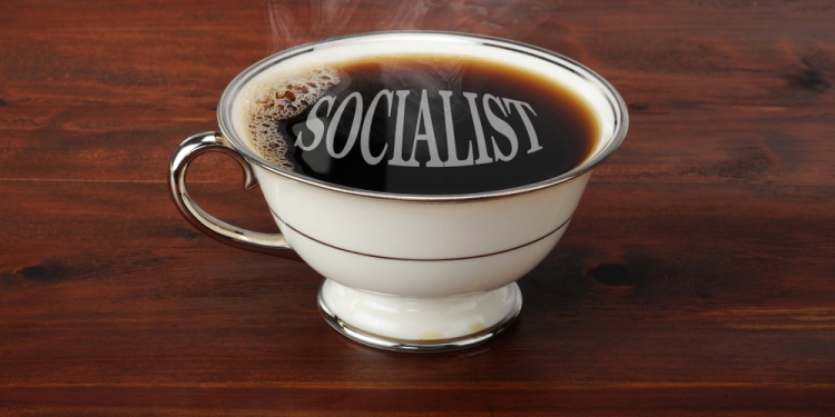 Image by W. Scott McGill via Shutterstock