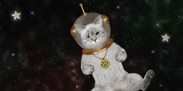 Image by Iryna Kuznetsova via Shutterstock