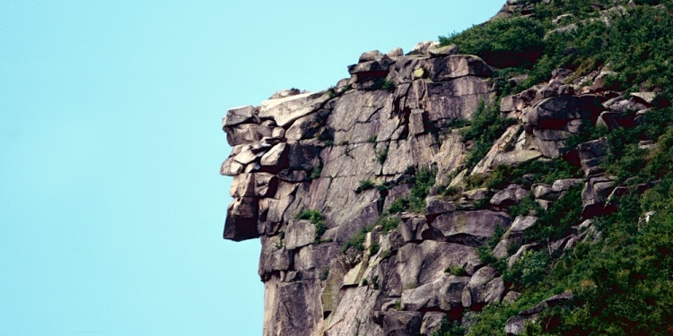 Image by Neil Bowman via Shutterstock