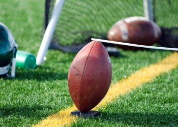 SkunkChunk image via Shutterstock