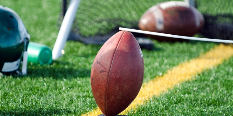 SkunkChunk image via Shutterstock