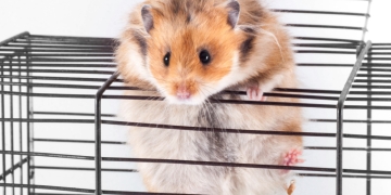 Natalia7 image via Shutterstock