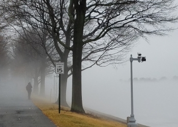 Image by Blue Dragonfly via Shutterstock