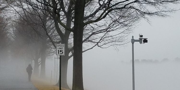 Image by Blue Dragonfly via Shutterstock