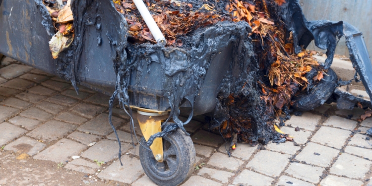 Image by Roman Mikhailiuk via Shutterstock