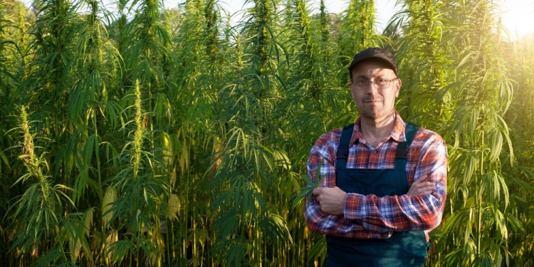 Mikhailov Studio image via Shutterstock