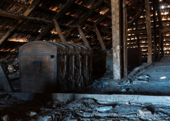 Demeter Cornel image via Shutterstock