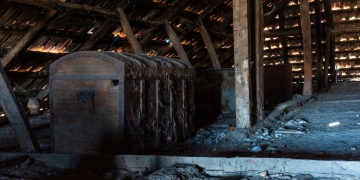 Demeter Cornel image via Shutterstock