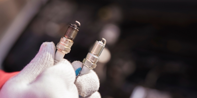 Glebzter image via Shutterstock