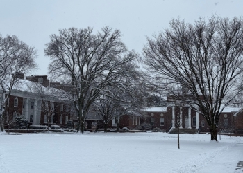 meganmge image via Shutterstock