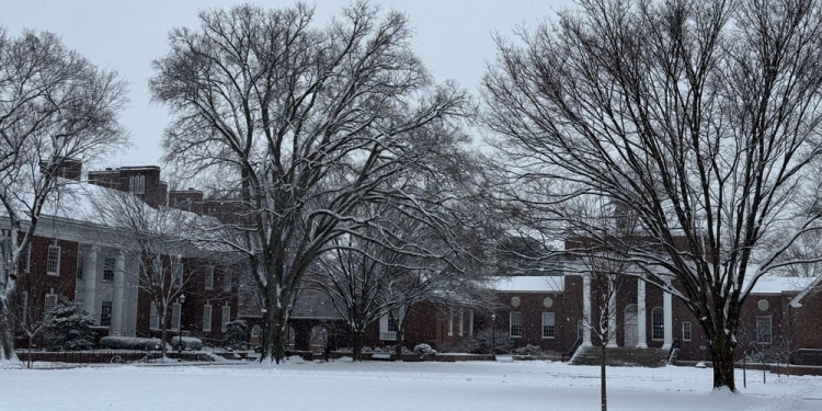 meganmge image via Shutterstock