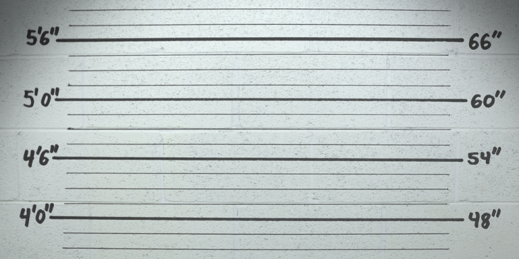 ShutterLibrary image via Shutterstock