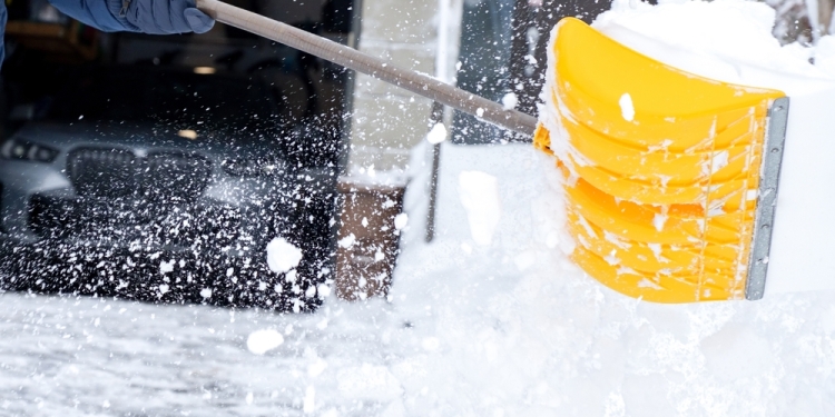 JuliaDorian image via Shutterstock