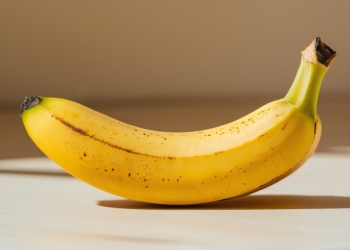 sectorsec image via Shutterstock