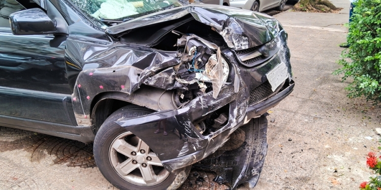 Will Rodrigues image via Shutterstock