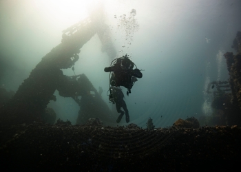 sinzi84 company image via Shutterstock