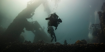 sinzi84 company image via Shutterstock