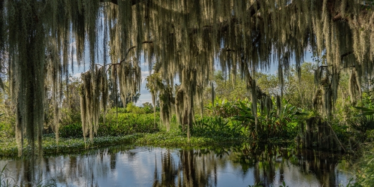 Wirestock Creators image via Shutterstock