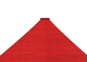 MaxFin image via Shutterstock