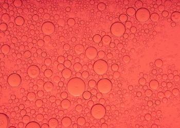 GreenOak image via Shutterstock