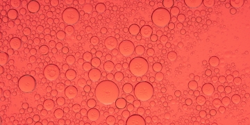 GreenOak image via Shutterstock