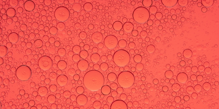 GreenOak image via Shutterstock