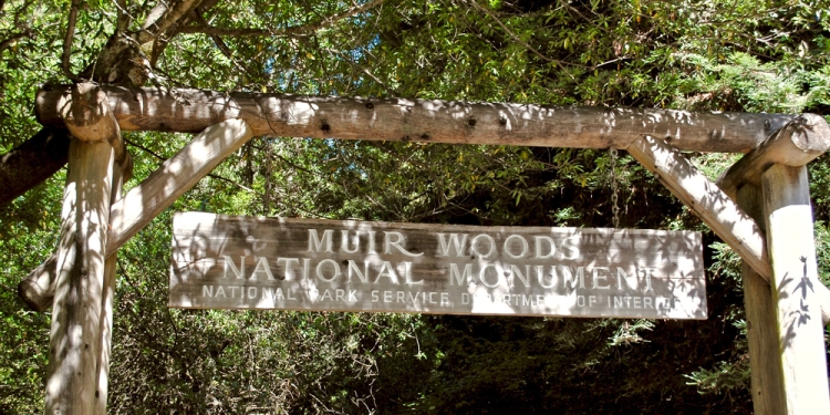 EWY Media image via Shutterstock